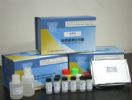 AHD ELISA Kit